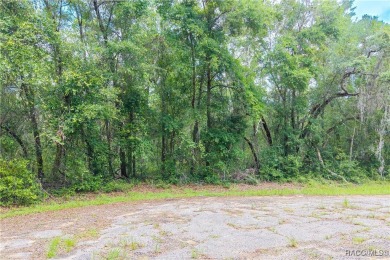 Don't miss this oversized, flat, and buildable .30-acre lot in on Citrus Springs Country Club in Florida - for sale on GolfHomes.com, golf home, golf lot