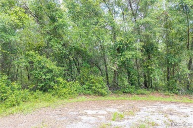 Don't miss this oversized, flat, and buildable .30-acre lot in on Citrus Springs Country Club in Florida - for sale on GolfHomes.com, golf home, golf lot