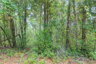 Don't miss this oversized, flat, and buildable .30-acre lot in on Citrus Springs Country Club in Florida - for sale on GolfHomes.com, golf home, golf lot