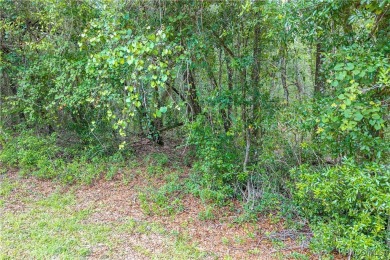 Don't miss this oversized, flat, and buildable .30-acre lot in on Citrus Springs Country Club in Florida - for sale on GolfHomes.com, golf home, golf lot