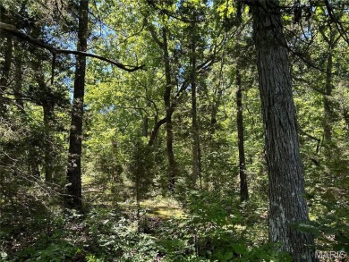 Are you looking to build your WATERFRONT dream home?  This Is on Cottonwood Golf Course in Missouri - for sale on GolfHomes.com, golf home, golf lot