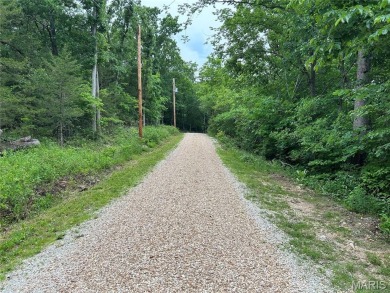Are you looking to build your WATERFRONT dream home?  This Is on Cottonwood Golf Course in Missouri - for sale on GolfHomes.com, golf home, golf lot