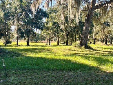 Check out this lovely 1.59 acre homesite in Cooper's Point! on Sapelo Hammock Golf Club in Georgia - for sale on GolfHomes.com, golf home, golf lot