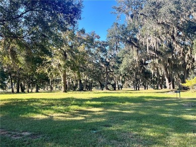 Check out this lovely 1.59 acre homesite in Cooper's Point! on Sapelo Hammock Golf Club in Georgia - for sale on GolfHomes.com, golf home, golf lot