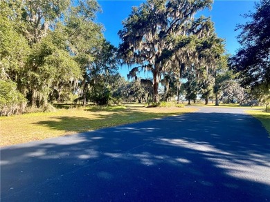 Check out this lovely 1.59 acre homesite in Cooper's Point! on Sapelo Hammock Golf Club in Georgia - for sale on GolfHomes.com, golf home, golf lot