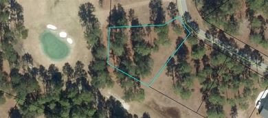 1/2 ACRE GOLF COURSE LOT IN THE COMMUNITY OF COOPERS POINT IN on Sapelo Hammock Golf Club in Georgia - for sale on GolfHomes.com, golf home, golf lot