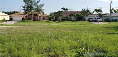 BEAUTIFUL OVERSIZED 0.31 ACRE  SOUTHERN EXPOSURE WATERFRONT LOT on Royal Tee Country Club in Florida - for sale on GolfHomes.com, golf home, golf lot