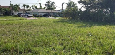 BEAUTIFUL OVERSIZED 0.31 ACRE  SOUTHERN EXPOSURE WATERFRONT LOT on Royal Tee Country Club in Florida - for sale on GolfHomes.com, golf home, golf lot