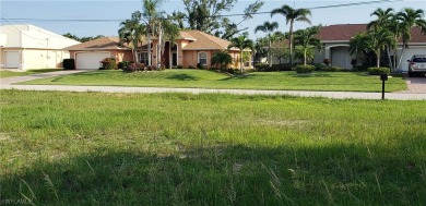 BEAUTIFUL OVERSIZED 0.31 ACRE  SOUTHERN EXPOSURE WATERFRONT LOT on Royal Tee Country Club in Florida - for sale on GolfHomes.com, golf home, golf lot