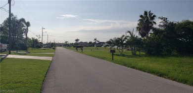 BEAUTIFUL OVERSIZED 0.31 ACRE  SOUTHERN EXPOSURE WATERFRONT LOT on Royal Tee Country Club in Florida - for sale on GolfHomes.com, golf home, golf lot
