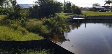 BEAUTIFUL OVERSIZED 0.31 ACRE  SOUTHERN EXPOSURE WATERFRONT LOT on Royal Tee Country Club in Florida - for sale on GolfHomes.com, golf home, golf lot