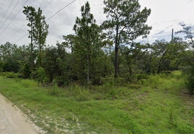 COME BUILD YOUR DREAM HOME! Vacant lot on almost 1/2 acre in the on Dunes Golf Club in Florida - for sale on GolfHomes.com, golf home, golf lot