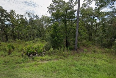 COME BUILD YOUR DREAM HOME! Vacant lot on almost 1/2 acre in the on Dunes Golf Club in Florida - for sale on GolfHomes.com, golf home, golf lot