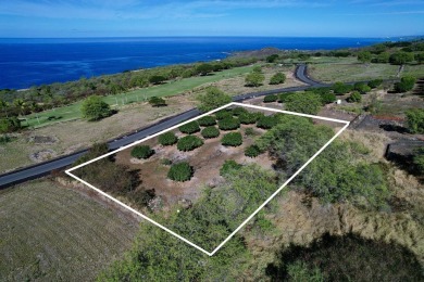 Hokulia, lot 252 offers an excellent, private  quiet location to on Club At Hokulia in Hawaii - for sale on GolfHomes.com, golf home, golf lot