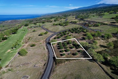 Hokulia, lot 252 offers an excellent, private  quiet location to on Club At Hokulia in Hawaii - for sale on GolfHomes.com, golf home, golf lot