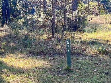 Come see what *Bluff Life* is all about! This homesite is over on Sapelo Hammock Golf Club in Georgia - for sale on GolfHomes.com, golf home, golf lot