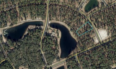 Come see what *Bluff Life* is all about! This homesite is over on Sapelo Hammock Golf Club in Georgia - for sale on GolfHomes.com, golf home, golf lot