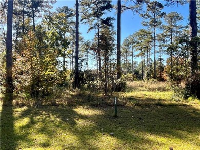 Come see what *Bluff Life* is all about! This homesite is over on Sapelo Hammock Golf Club in Georgia - for sale on GolfHomes.com, golf home, golf lot