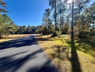 Come see what *Bluff Life* is all about! This homesite is over on Sapelo Hammock Golf Club in Georgia - for sale on GolfHomes.com, golf home, golf lot