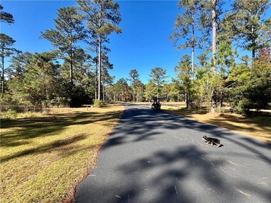 Come see what *Bluff Life* is all about! This homesite is over on Sapelo Hammock Golf Club in Georgia - for sale on GolfHomes.com, golf home, golf lot