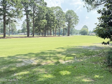 Golf Course Frontage! Welcome to this delightful 4 bedroom, 3 on Southern Wayne Country Club in North Carolina - for sale on GolfHomes.com, golf home, golf lot