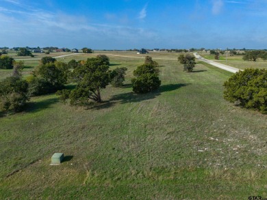 Why travel when life's luxuries could be hidden away in your own on The Retreat in Texas - for sale on GolfHomes.com, golf home, golf lot