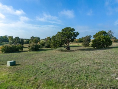 Why travel when life's luxuries could be hidden away in your own on The Retreat in Texas - for sale on GolfHomes.com, golf home, golf lot