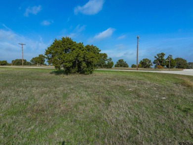 Why travel when life's luxuries could be hidden away in your own on The Retreat in Texas - for sale on GolfHomes.com, golf home, golf lot