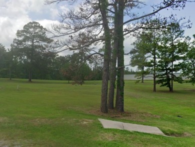 Corner acreage at 1007/255 in Brookeland at Lake Sam Rayburn on Rayburn Country Club in Texas - for sale on GolfHomes.com, golf home, golf lot