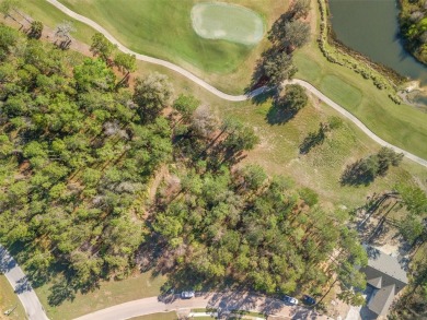 Incredible opportunity to own a lot in Southern Hills on the on Southern Hills Plantation Club in Florida - for sale on GolfHomes.com, golf home, golf lot