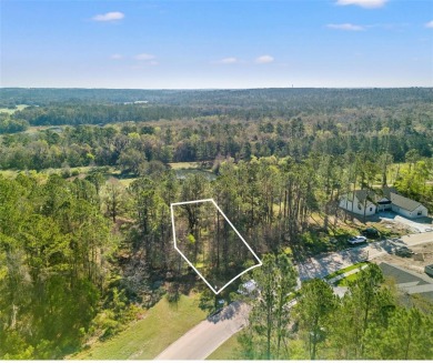Incredible opportunity to own a lot in Southern Hills on the on Southern Hills Plantation Club in Florida - for sale on GolfHomes.com, golf home, golf lot