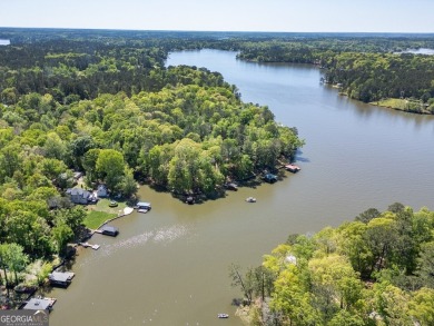 Scenic shores and stylish living in Turtle Cove on Turtle Cove Golf Course in Georgia - for sale on GolfHomes.com, golf home, golf lot