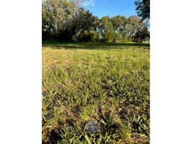 Not many lots left that are located on the golf course. Lot 917 on Hideout Golf Club and Resort  in Texas - for sale on GolfHomes.com, golf home, golf lot