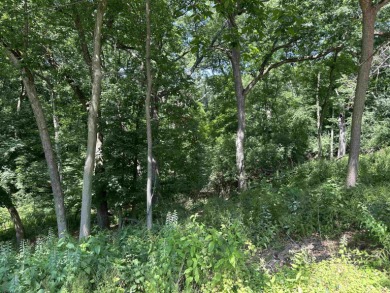 Large 5 acre buildable lot in Williams Bay providing privacy in on George Williams Golf Course in Wisconsin - for sale on GolfHomes.com, golf home, golf lot