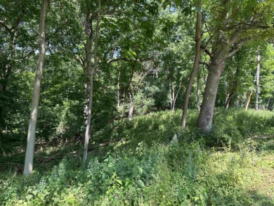 Large 5 acre buildable lot in Williams Bay providing privacy in on George Williams Golf Course in Wisconsin - for sale on GolfHomes.com, golf home, golf lot