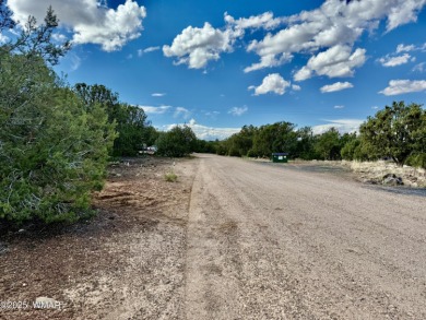 Gorgeous, lot with a passed perc test the is level at the road on Silver Creek Golf Club in Arizona - for sale on GolfHomes.com, golf home, golf lot