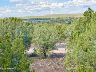 Gorgeous, lot with a passed perc test the is level at the road on Silver Creek Golf Club in Arizona - for sale on GolfHomes.com, golf home, golf lot