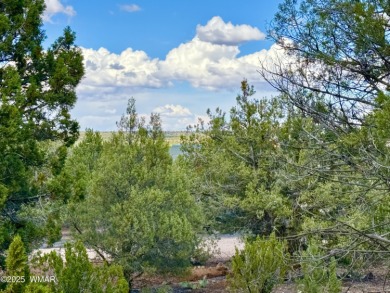 Gorgeous, lot with a passed perc test the is level at the road on Silver Creek Golf Club in Arizona - for sale on GolfHomes.com, golf home, golf lot