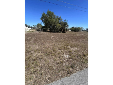 A spacious lot is now available, comprising three parcels (11 on Del Tura Golf and Country Club in Florida - for sale on GolfHomes.com, golf home, golf lot