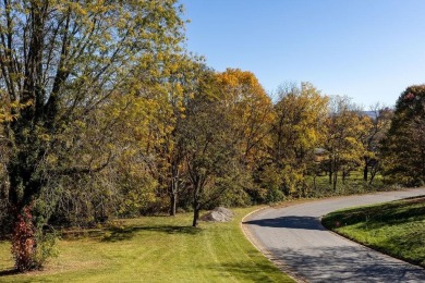 OPEN HOUSE: Sun Nov 10th 1-2pm. Cool, expansive & contemporary on Waynesboro Country Club in Virginia - for sale on GolfHomes.com, golf home, golf lot