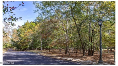 Nestled on the picturesque golf course in the prestigious Rivers on Rivers Edge Golf Club in North Carolina - for sale on GolfHomes.com, golf home, golf lot