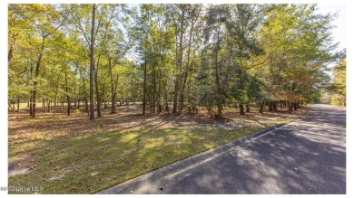 Nestled on the picturesque golf course in the prestigious Rivers on Rivers Edge Golf Club in North Carolina - for sale on GolfHomes.com, golf home, golf lot