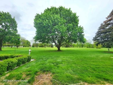 ** Best offer Due By 5/31 at 7 pm * Stunning executive condo on on Swan Valley Golf Club in Michigan - for sale on GolfHomes.com, golf home, golf lot
