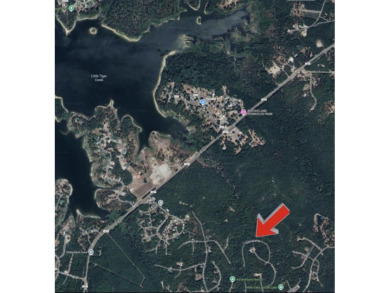 Secluded Lot in Rayburn Country, near Rayburn Resort and just on Rayburn Country Club in Texas - for sale on GolfHomes.com, golf home, golf lot