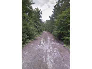 Secluded Lot in Rayburn Country, near Rayburn Resort and just on Rayburn Country Club in Texas - for sale on GolfHomes.com, golf home, golf lot
