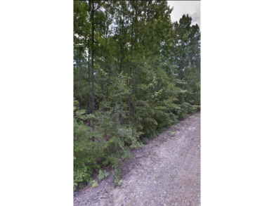 Secluded Lot in Rayburn Country, near Rayburn Resort and just on Rayburn Country Club in Texas - for sale on GolfHomes.com, golf home, golf lot