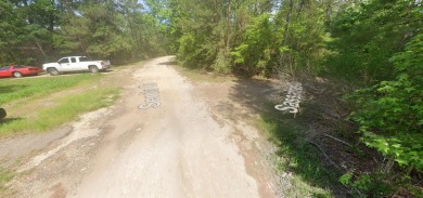 Secluded Lot in Rayburn Country, near Rayburn Resort and just on Rayburn Country Club in Texas - for sale on GolfHomes.com, golf home, golf lot