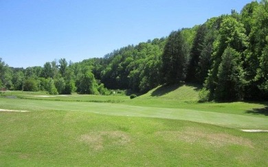 One-level living at its finest in the highly desirable Buckhorn on White Path Golf Club in Georgia - for sale on GolfHomes.com, golf home, golf lot
