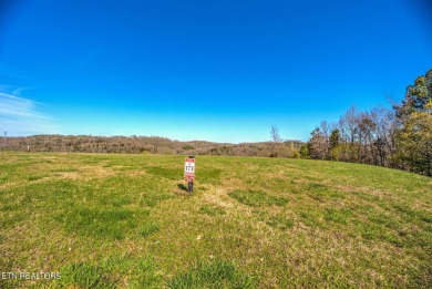 Indulge in luxury living amidst unparalleled amenities with this on Tennessee National Golf Club in Tennessee - for sale on GolfHomes.com, golf home, golf lot