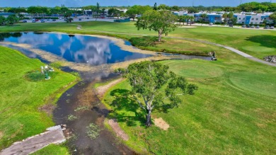 Golf, Comedy Shows, Dances, Pickle Ball & Tennis Leagues on Kings Point Golf -Flanders Way in Florida - for sale on GolfHomes.com, golf home, golf lot